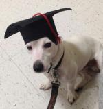 puppy graduate