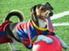 Jack Mascot FC Barcelona 